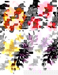Zeige Details für d-c-fix Spirit Flow Painted flowers Bild von d-c-fix Spirit Flow Painted flowers