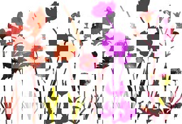 Zeige Details für d-c-fix Spirit Flow Meadow Flowers Bild von d-c-fix Spirit Flow Meadow Flowers
