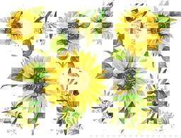 Zeige Details für d-c-fix Spirit Flow Sunflowers Bild von d-c-fix Spirit Flow Sunflowers