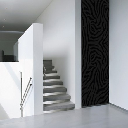 black_line_zebra_anw.jpg