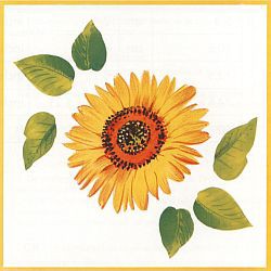 Bild von d-c-fix wall Sunflower