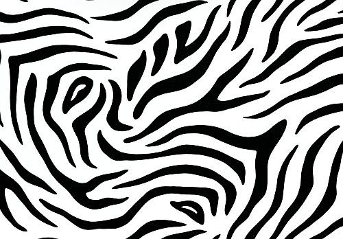 Bild von d-c-fix Zebra