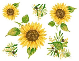 Bild von d-c-fix Spirit Flow Sunflowers